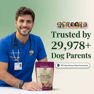 Vet-recommended Gut Support