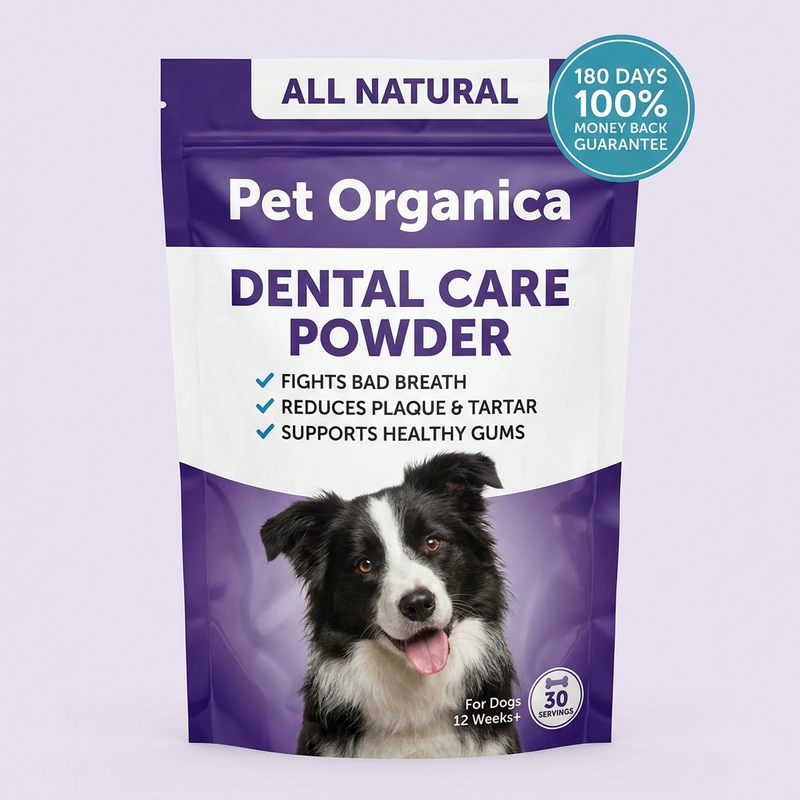 ProDenta Dental Powder
