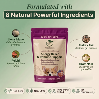 Vet-recommended Gut Support