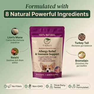 Vet-recommended Gut Support