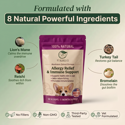 Vet-recommended Gut Support