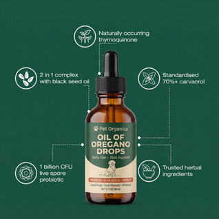 Oil of Oregano Drops