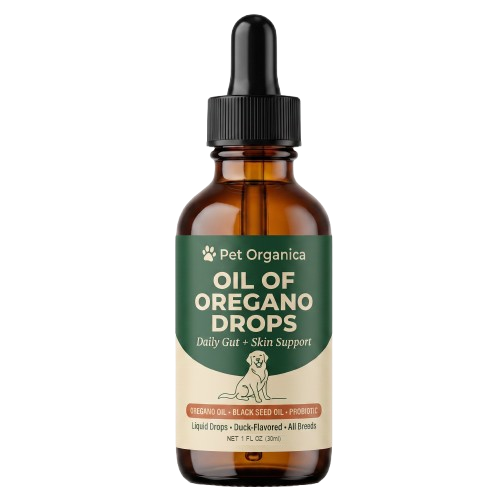 The 10-Day Dog Gut Cleanse