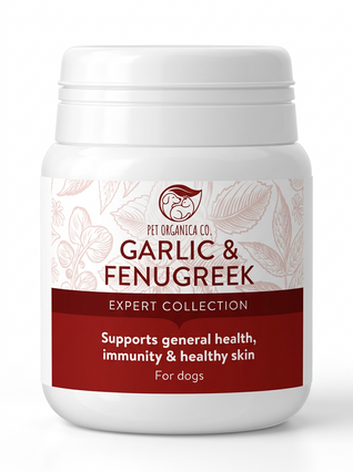 Aged Odorless Garlic