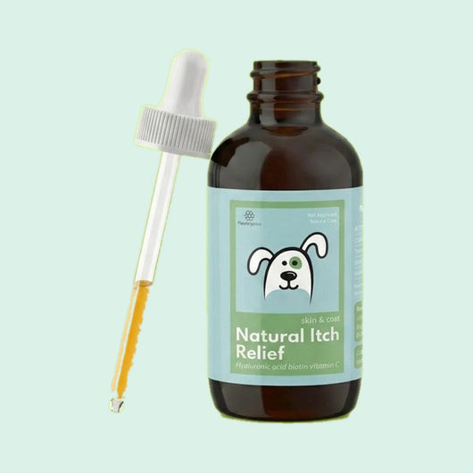 Vet-recommended Collagen Drops for dogs